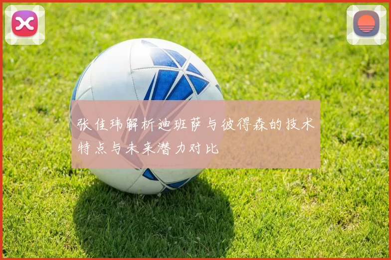 张佳玮解析迪班萨与彼得森的技术特点与未来潜力对比